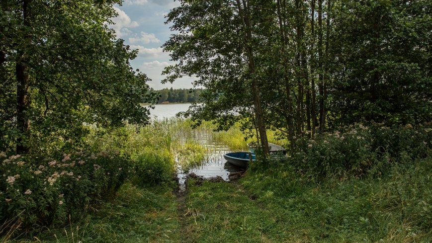 Jezioro Rekowe - zdjęcie 1