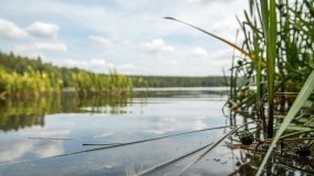 Jezioro Konik - zdjęcie 17
