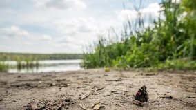 Jezioro Konik - zdjęcie 3