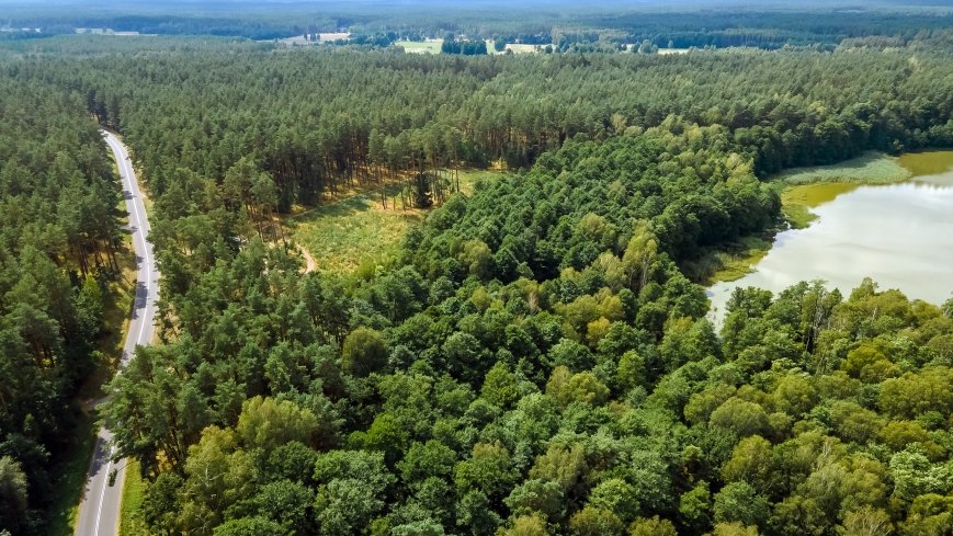 Jezioro Konik - zdjęcie 1