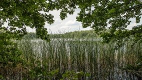 Jezioro Głęboczek - zdjęcie 2