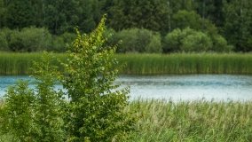 Jezioro Arwiny - zdjęcie 2