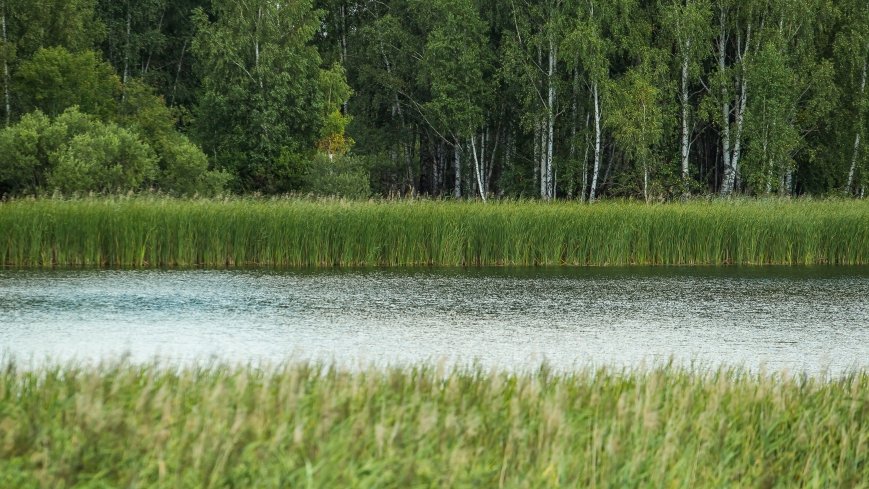 Jezioro Arwiny - zdjęcie 1