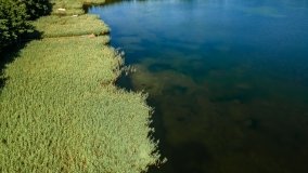 Jezioro Nowe Kiełbonki - zdjęcie 5