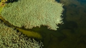 Jezioro Nowe Kiełbonki - zdjęcie 4