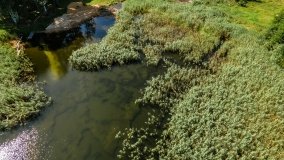 Jezioro Nowe Kiełbonki - zdjęcie 2