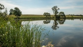 Jezioro Machniacz - zdjęcie 13