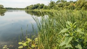 Jezioro Machniacz - zdjęcie 8