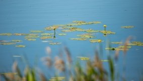 Jezioro Duś - zdjęcie 30