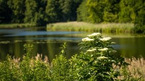 Jezioro Duś - zdjęcie 17