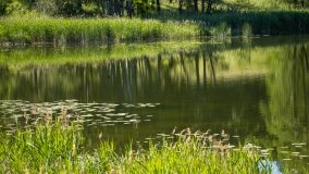 Jezioro Duś - zdjęcie 13