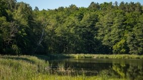 Jezioro Duś - zdjęcie 7