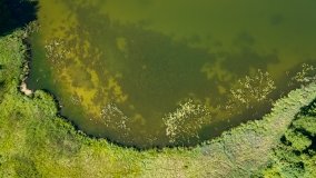 Jezioro Duś - zdjęcie 5