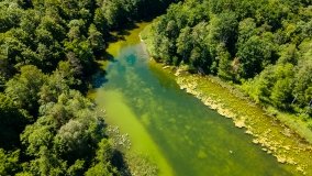 Jezioro Krutyńskie - zdjęcie 14