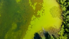 Jezioro Krutyńskie - zdjęcie 13