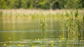 Jezioro Krutyńskie - zdjęcie 11