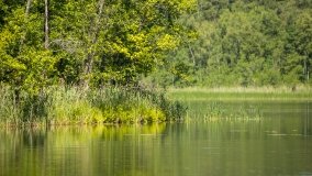 Jezioro Krutyńskie - zdjęcie 6