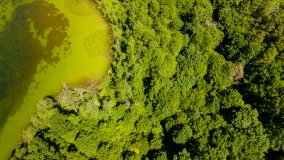 Jezioro Krutyńskie - zdjęcie 4