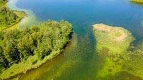 Jezioro Krutyńskie - zdjęcie 2