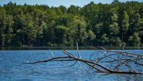 Jezioro Klimunt - zdjęcie 22