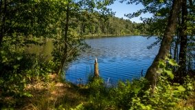 Jezioro Klimunt - zdjęcie 7