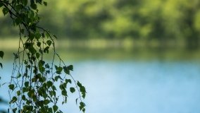 Jezioro Zdrężno - zdjęcie 28