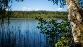 Jezioro Zdrężno - zdjęcie 27