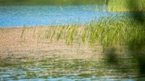 Jezioro Zdrężno - zdjęcie 25