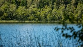 Jezioro Zdrężno - zdjęcie 20