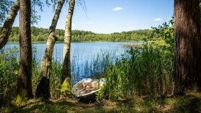 Jezioro Zdrężno - zdjęcie 17