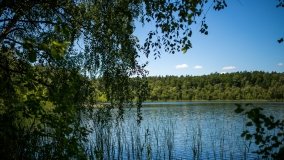 Jezioro Zdrężno - zdjęcie 15