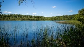 Jezioro Zdrężno - zdjęcie 14