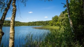 Jezioro Zdrężno - zdjęcie 12