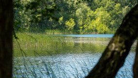 Jezioro Zdrężno - zdjęcie 11