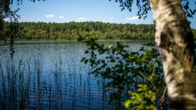 Jezioro Zdrężno - zdjęcie 10