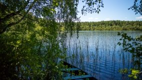 Jezioro Zdrężno - zdjęcie 8