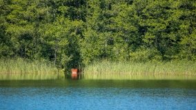 Jezioro Zdrężno - zdjęcie 7