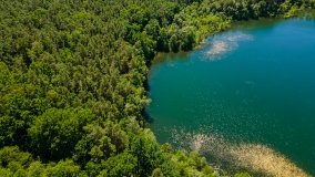 Jezioro Zdrężno - zdjęcie 5