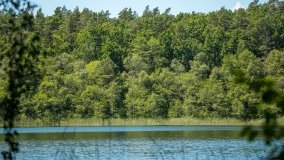 Jezioro Zdrężno - zdjęcie 4