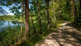 Jezioro Zdrężno - zdjęcie 3