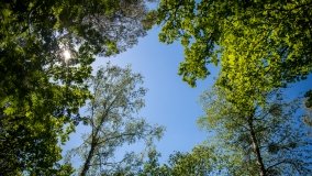 Jezioro Zdrężno - zdjęcie 2