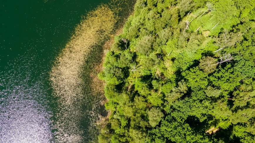 Jezioro Zdrężno - zdjęcie 1