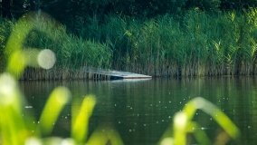 Jezioro Kołowin - zdjęcie 18