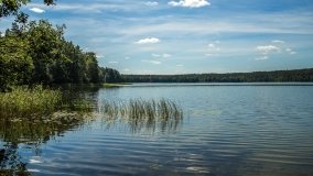 Jezioro Kołowin - zdjęcie 13