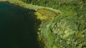 Jezioro Kołowin - zdjęcie 10