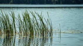 Jezioro Kołowin - zdjęcie 9