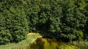 Jezioro Kołowin - zdjęcie 6