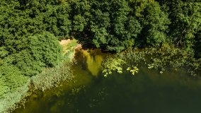 Jezioro Kołowin - zdjęcie 3