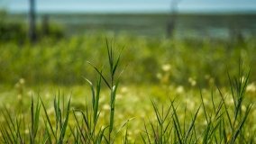 Jezioro Kołowinek - zdjęcie 26