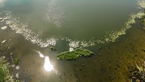 Jezioro Kołowinek - zdjęcie 24